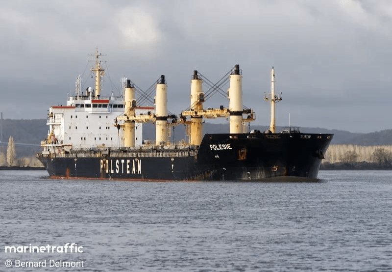 Service works on the ship Polesie — m/v Polesie